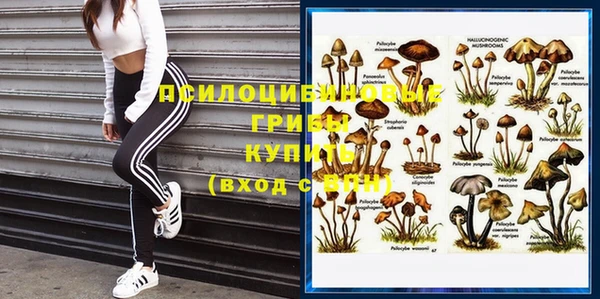 каннабис Арсеньев