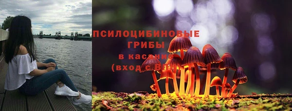 твердый Аркадак